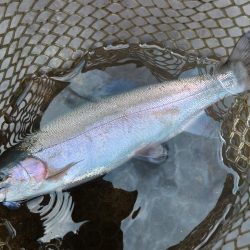 エキスパートエリアで大物狩り ～平谷湖フィッシングスポット～